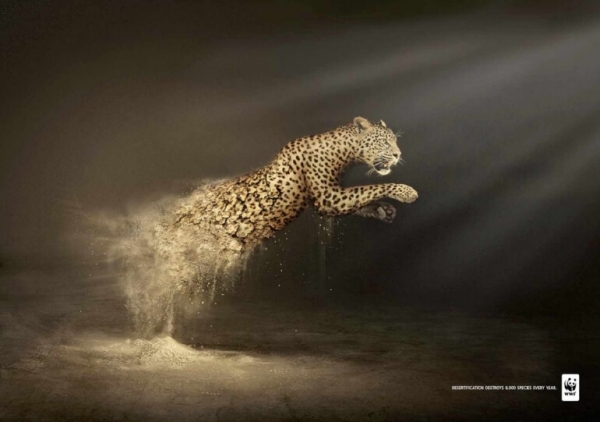 World Wildlife Fund Online Advertisement