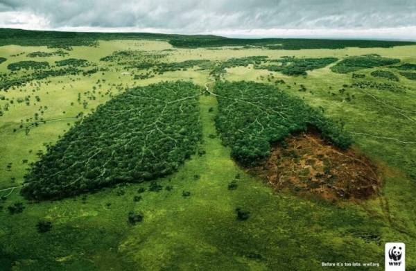 world wide fund deforestation ad