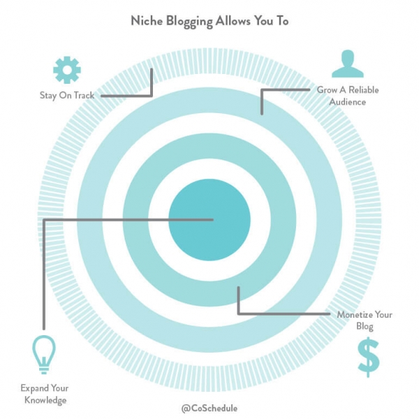 blog audience infographic