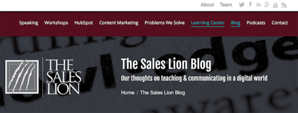 The Sales Lion Blog 