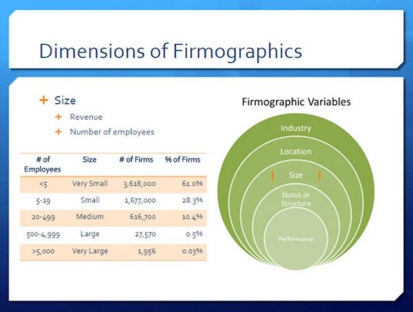 Dimensions of Firmographics