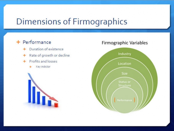 Dimensions of Firmographics