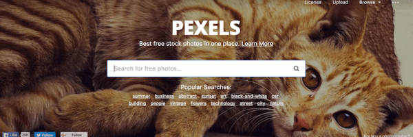 Pexels home page banner