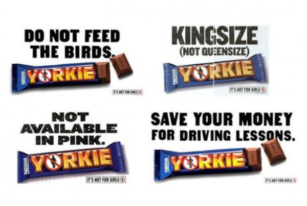 Yorkie 600x404 600x404