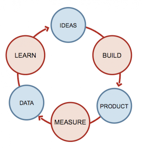 startup feedback loop