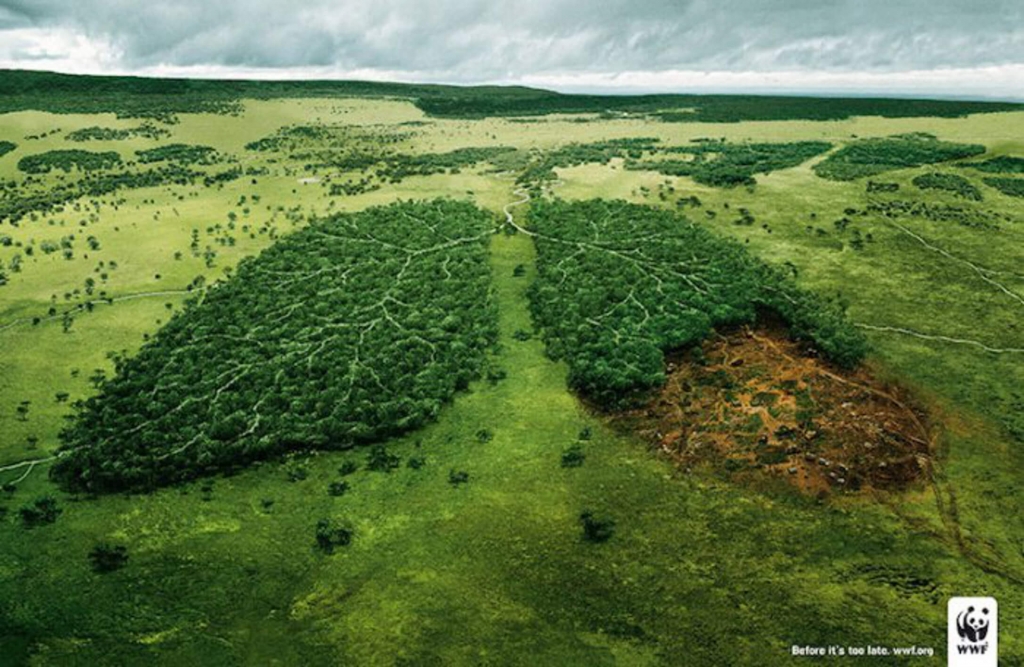 Best advertisements campaigns - WWF