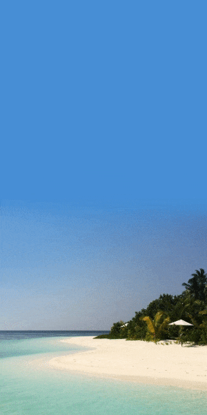 travel GIF template