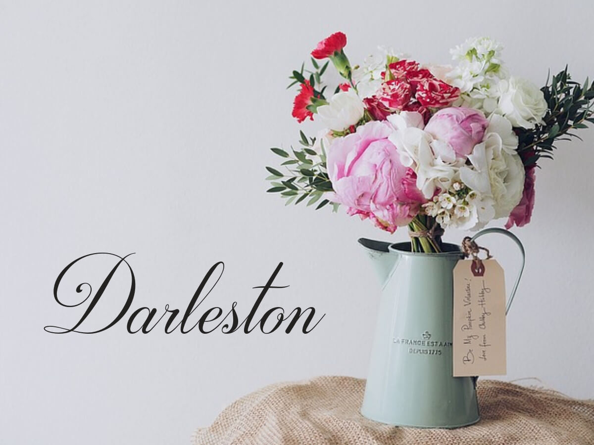 Darleston - feminine hand lettering font