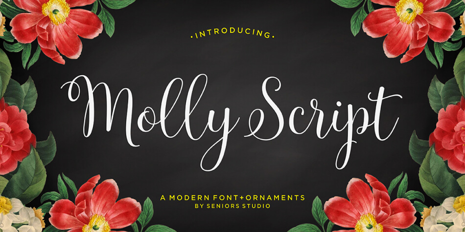 Molly Script hand lettering font