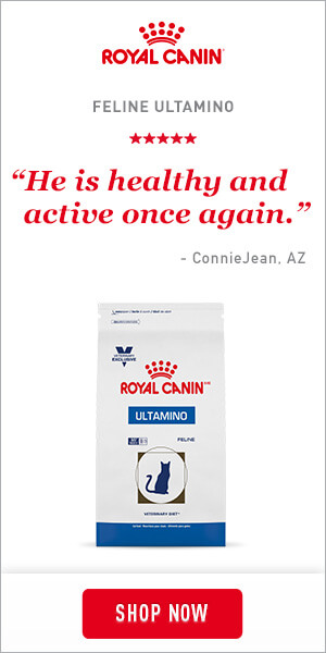 royal canin banner button design