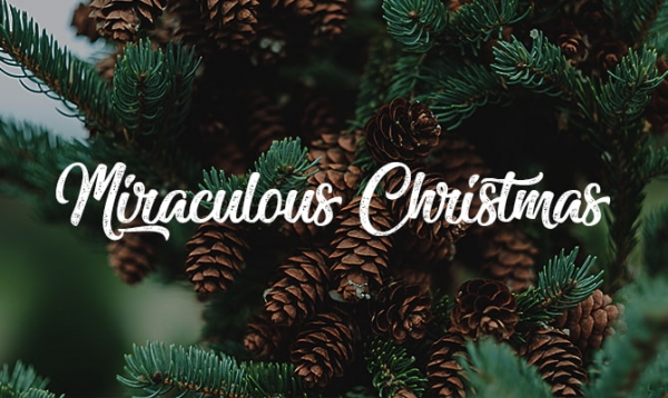 miraculous christmas christmas cursive font