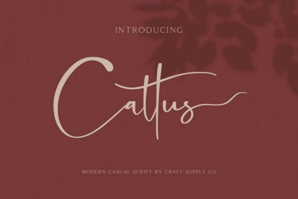 cattus font