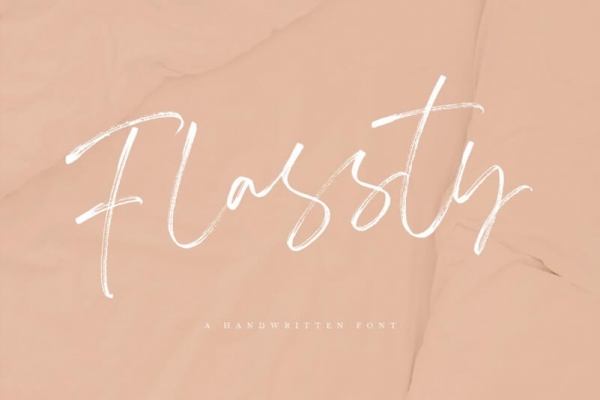 flassty font