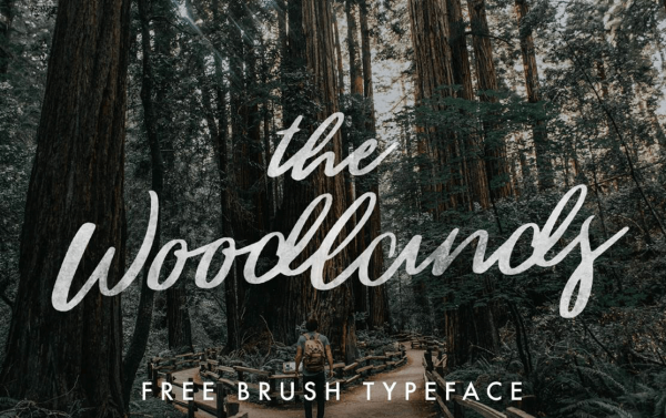 the woodlands font