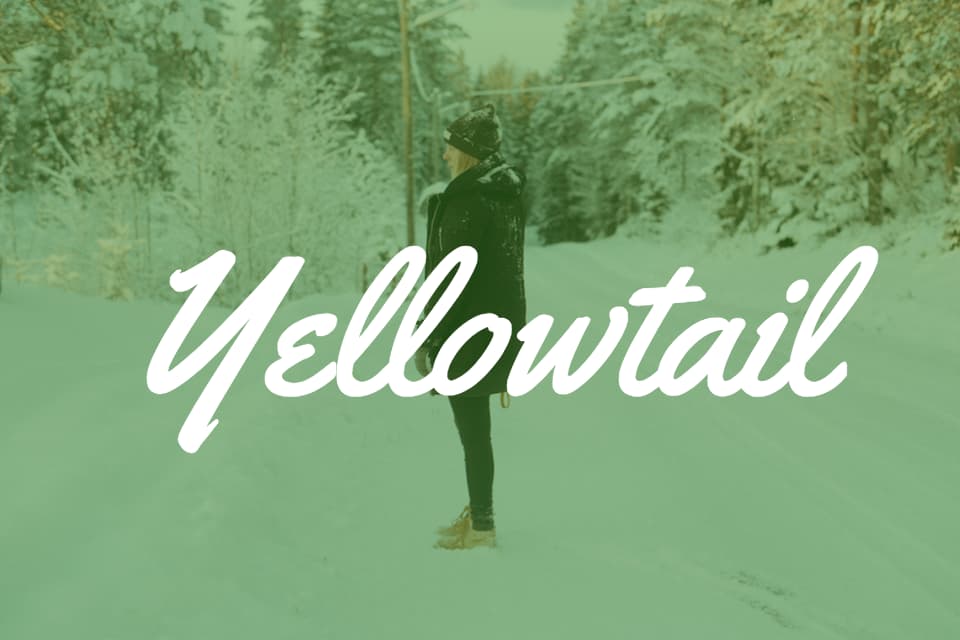 yellowtail font