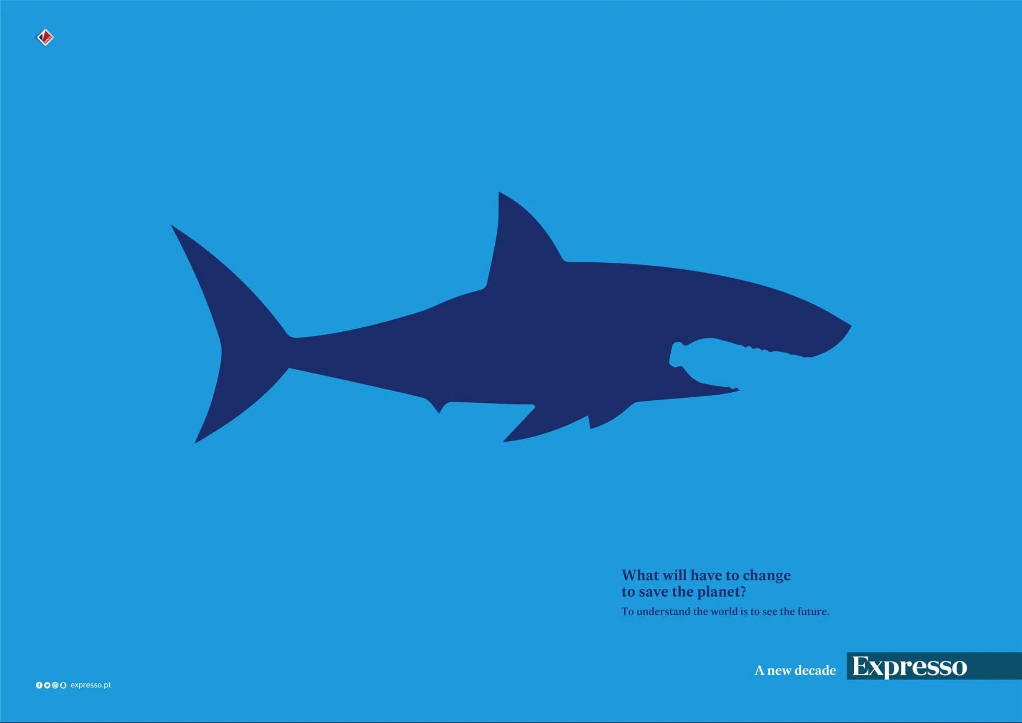 newspaper shark advertisement example