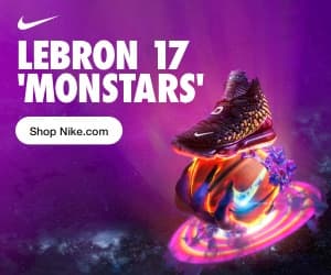 Nike Lebron Monstars Visual