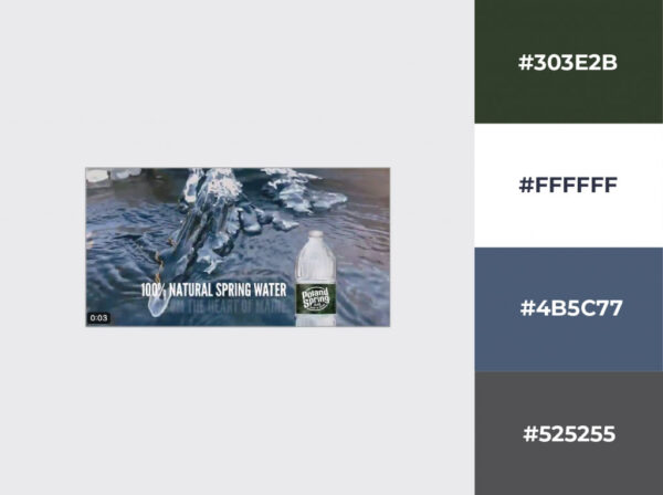 Poland Springs Twitter Design Example