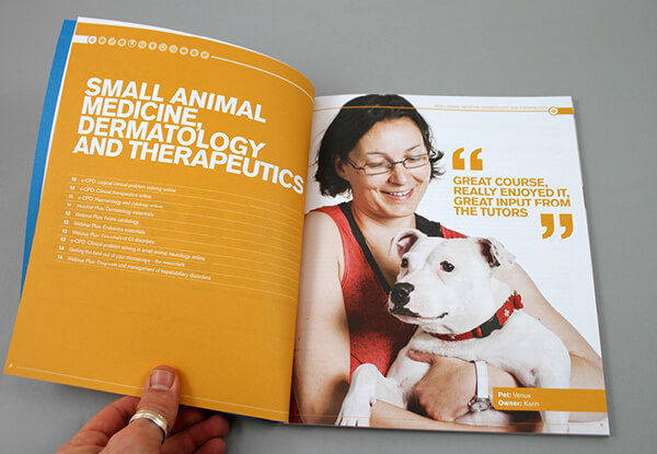 Small Animal Medicine Printed Quotes