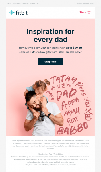 fitbit email ecommerce marketing strategy